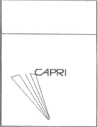 Paraqitja e markës CAPRI