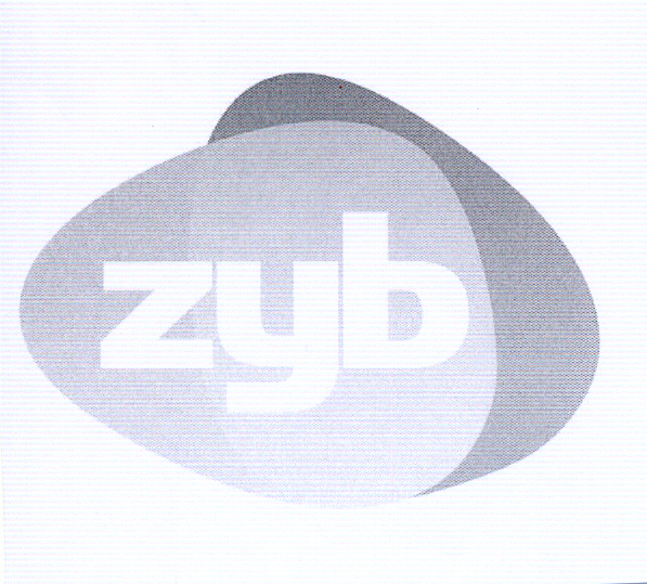 Paraqitja e markës ZYB
