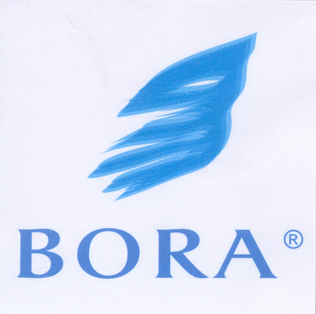 Paraqitja e markës BORA