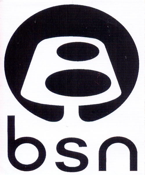 Paraqitja e markës BSN