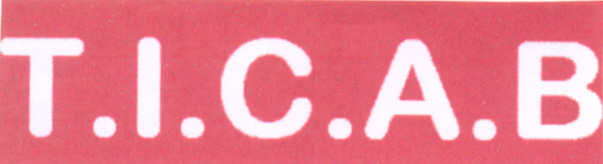 Paraqitja e markës T.I.C.A.B