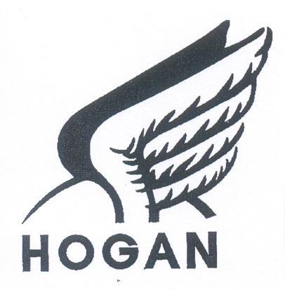 Paraqitja e markës HOGAN