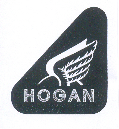 Paraqitja e markës HOGAN