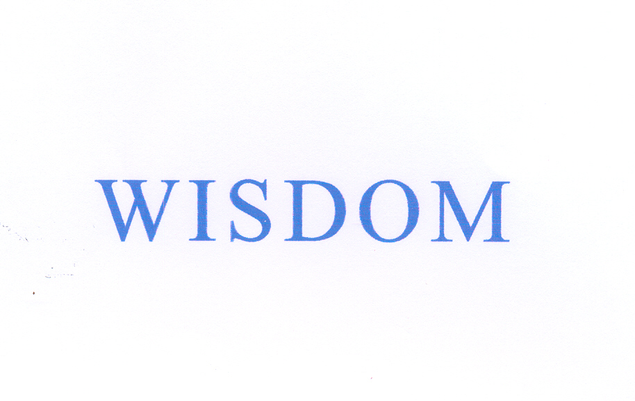 Paraqitja e markës WISDOM