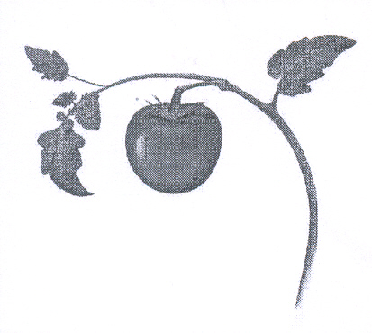 Paraqitja e markës AL/T/2010/174