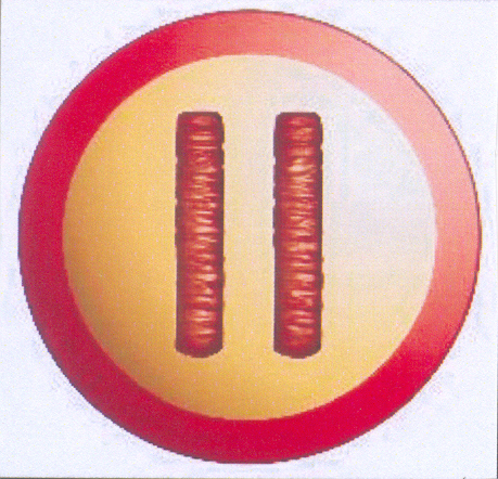 Paraqitja e markës TWIX PAUSE LABEL