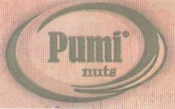 Paraqitja e markës PUMI NUTS