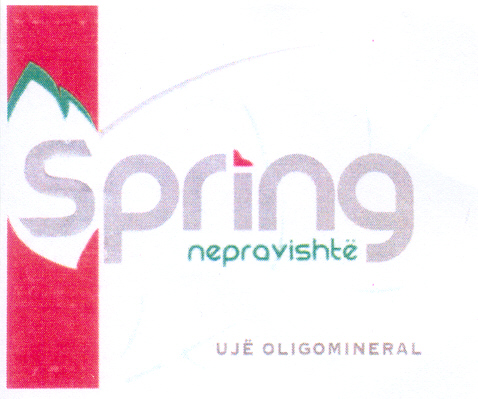 Paraqitja e markës SPRING NEPRAVISHTE