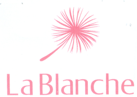 Paraqitja e markës LA BLANCHE