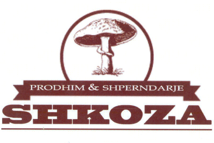 Paraqitja e markës SHKOZA