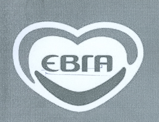 Paraqitja e markës EVGA