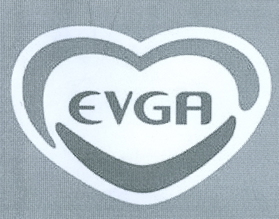 Paraqitja e markës EVGA