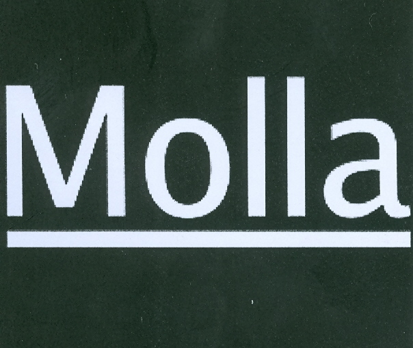 Paraqitja e markës MOLLA