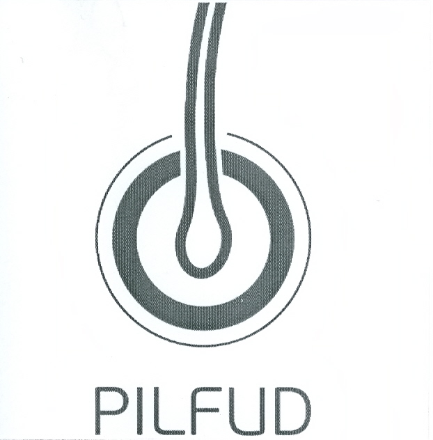 Paraqitja e markës Pilfud