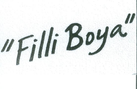 Paraqitja e markës "FILLI BOYA"