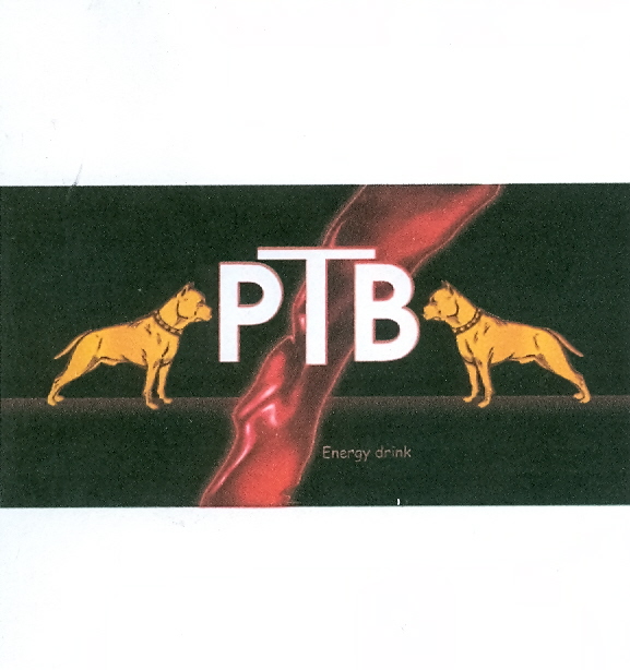 Paraqitja e markës PTB
