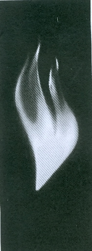 Paraqitja e markës AL/T/2011/708