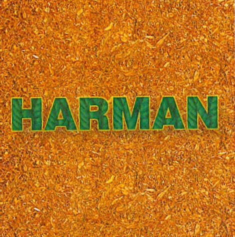 Paraqitja e markës HARMAN