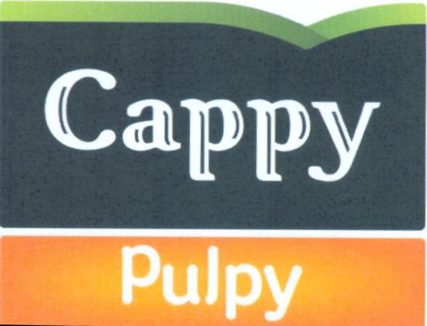 Paraqitja e markës CAPPY PULPY