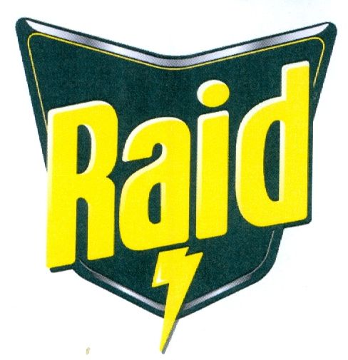 Paraqitja e markës RAID