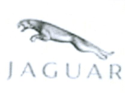 Paraqitja e markës JAGUAR