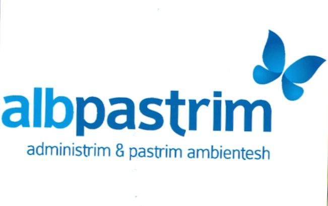 Paraqitja e markës albpastrim