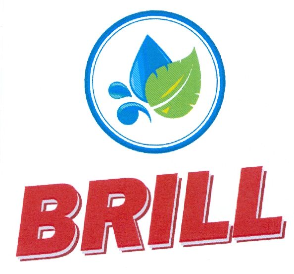 Paraqitja e markës BRILL