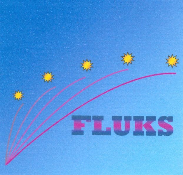 Paraqitja e markës FLUKS