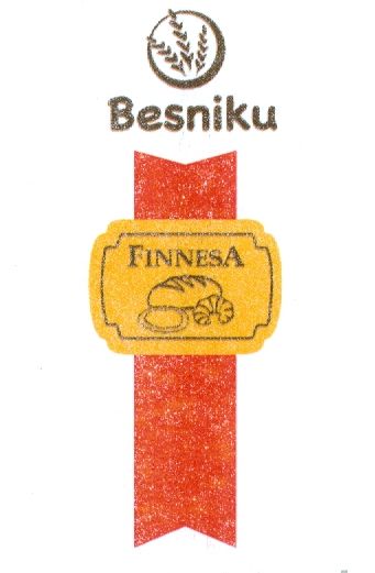 Paraqitja e markës FINNESA, BESNIKU