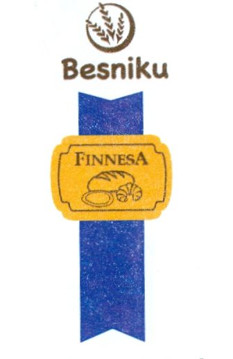 Paraqitja e markës FINNESA, BESNIKU
