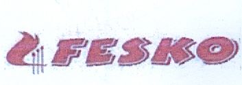 Paraqitja e markës FESKO