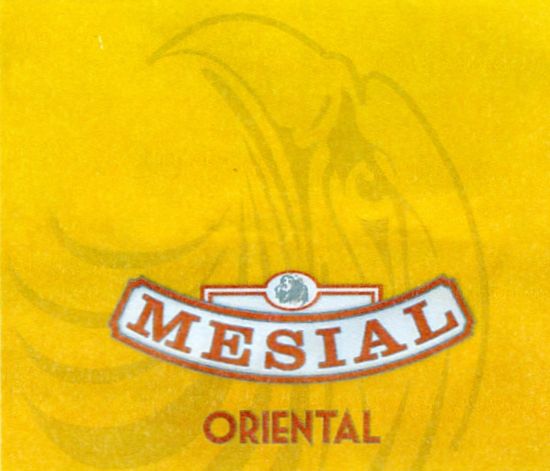 Paraqitja e markës MESIAL