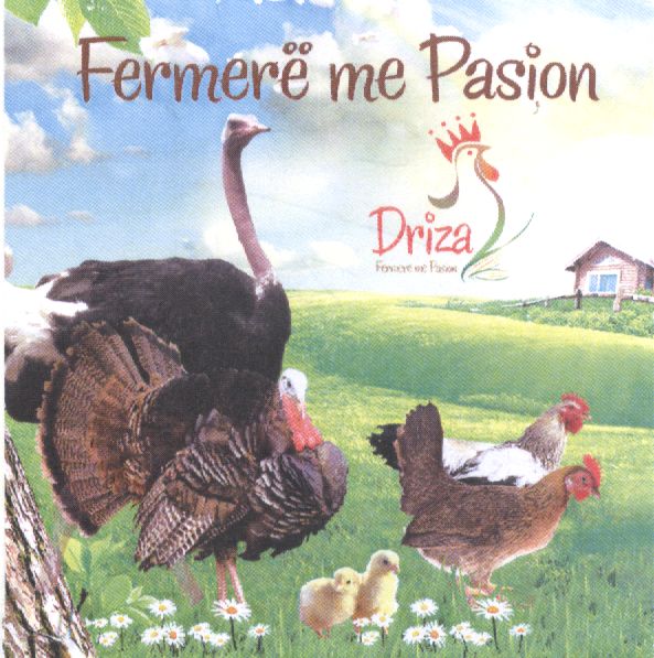 Paraqitja e markës Driza Fermerë me Pasion