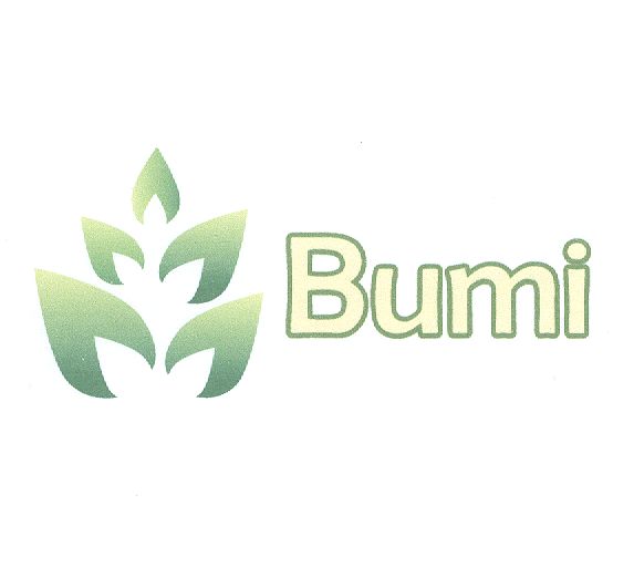 Paraqitja e markës BUMI