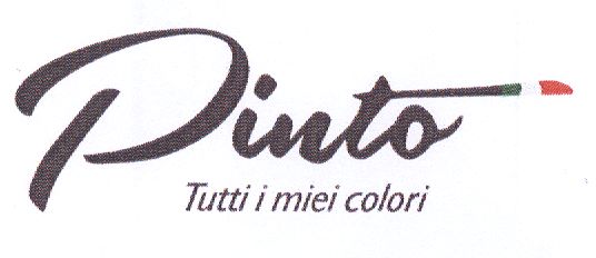 Paraqitja e markës Pinto