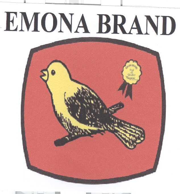 Paraqitja e markës EMONA BRAND