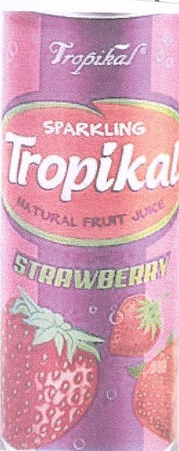 Paraqitja e markës Tropikal