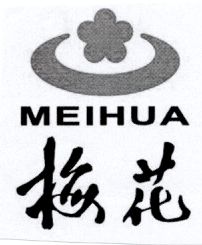Paraqitja e markës MEIHUA