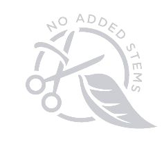 Paraqitja e markës NO ADDED STEMS