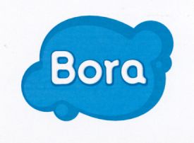 Paraqitja e markës Bora