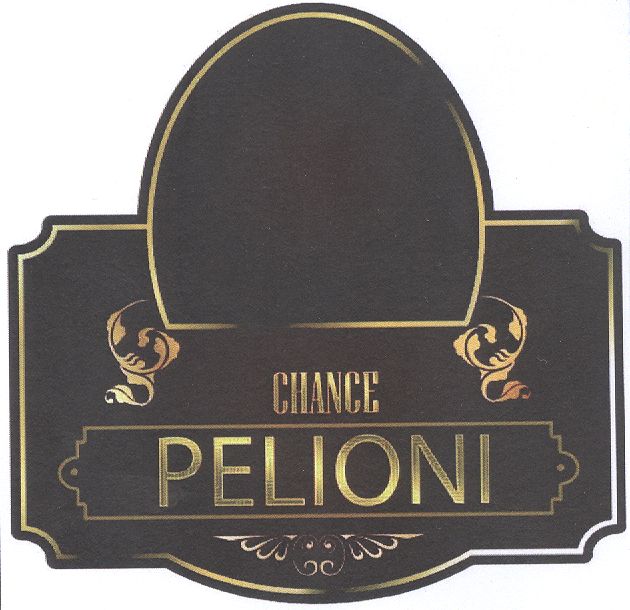 Paraqitja e markës PELIONI