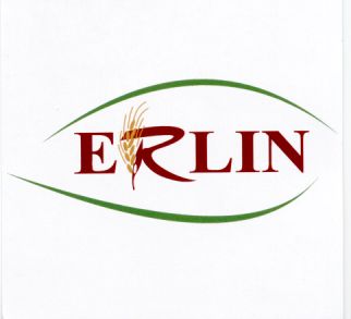 Paraqitja e markës ERLIN