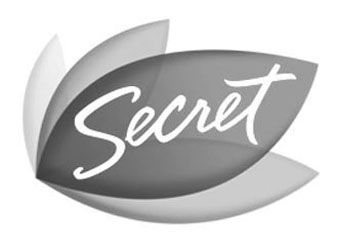Paraqitja e markës Secret
