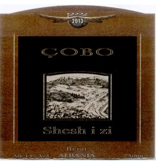 Paraqitja e markës Çobo Sheshi zi 2013