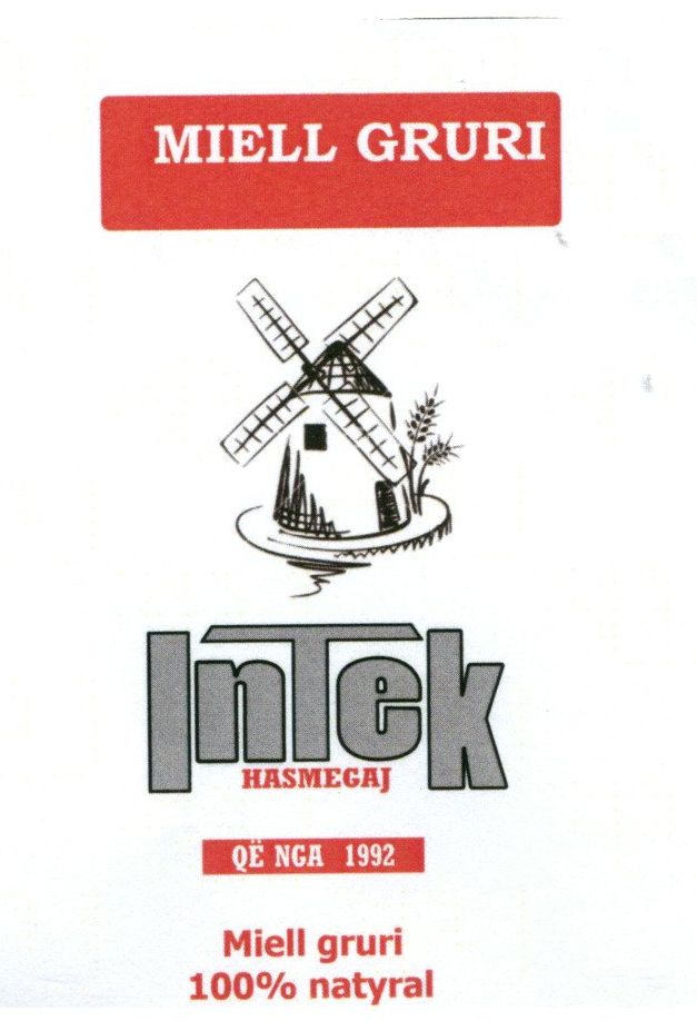 Paraqitja e markës INTEK HASMEGAJ