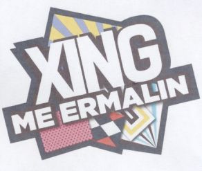 Paraqitja e markës XING ME ERMALIN