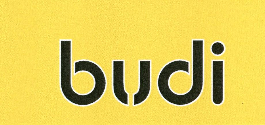 Paraqitja e markës budi