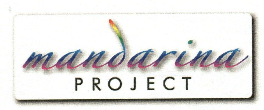 Paraqitja e markës Mandarina Project