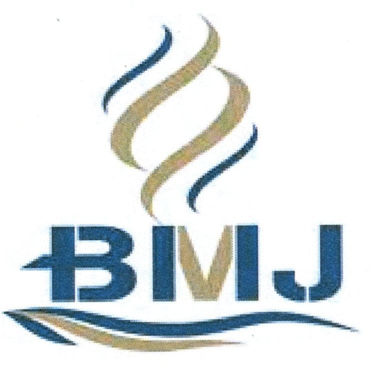 Paraqitja e markës BMJ