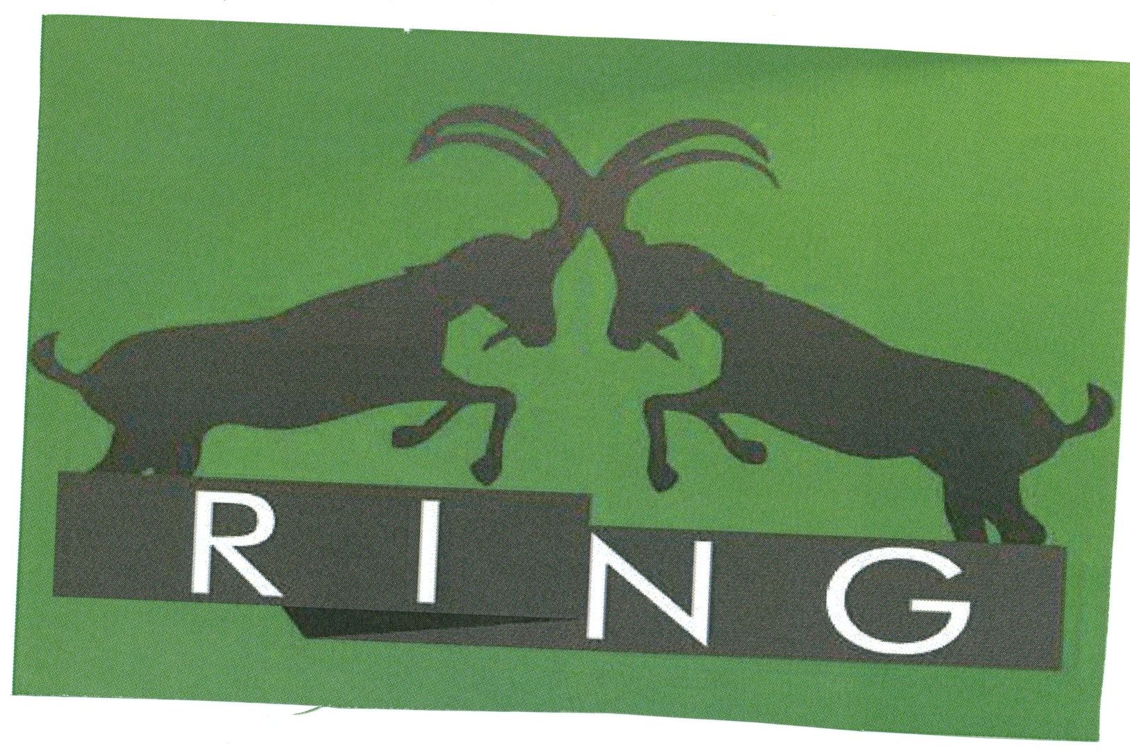 Paraqitja e markës RING